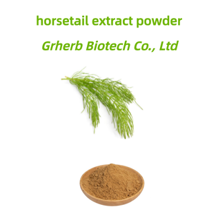 Extrato de Erva de Cauda de Cavalo em Pó para Crescimento Capilar - Product Image 2