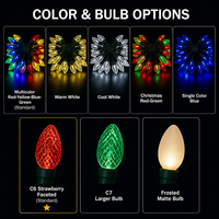 Guirlande lumineuse LED C6 Fraise IP44 50 LED 5m Solaire et Alimentation Secteur 8 Modes Multicolore Noël Extérieur Jardin OEM CE