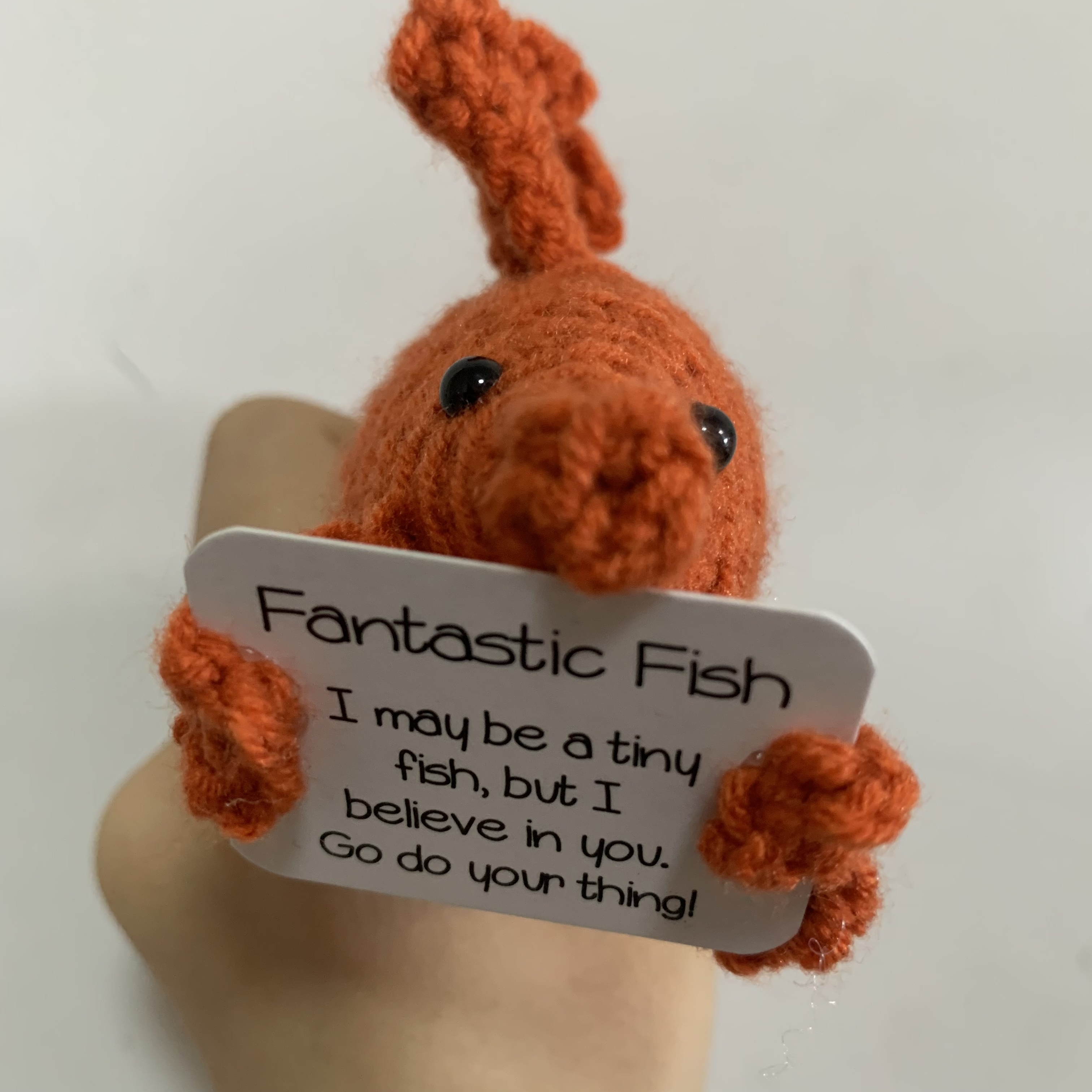 Orange goldfish