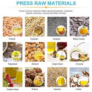 Machine automatique de fabrication d'huile comestible Presse à froid pour petites graines de <span class=keywords><strong>melon</strong></span>, de tournesol et de <span class=keywords><strong>cactus</strong></span> - Product Image 3