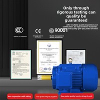 Moteur asynchrone triphasé YE3 à fil de cuivre 10 kW certifié ISO9001 460/480V, efficacité IE3 pour pompes/broyeurs/déchiqueteurs