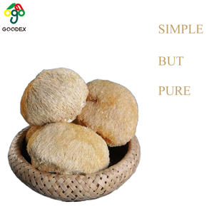 2024 Hot Selling Nieuwe Apenkop Paddestoel Leeuwenmanen Natuurlijke Kruidenkoekjes Bakkerij Thanksgiving Day Kerstviering - Product Image 4