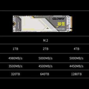Gloway 1TB 2TB 4TB SSD Solid State Drive M.2 Schnittstelle (Protokoll) PCIe 4.0x4 Shence Serie Black Myth Installations-Upgrade - Product Image 2