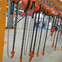 Palans à chaîne manuels robustes et durables de 10 tonnes