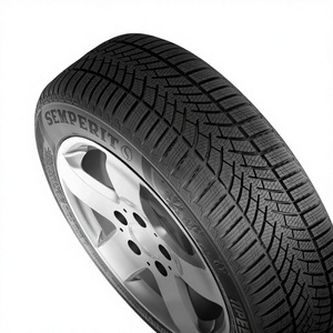 Neumáticos de Verano para Automóvil de Pasajeros Semperit 225/50R 17 98Y TL Speed-Life 3 FR, Neumático de Verano Semperit Speed-Life3 FR 225/50R17 98Y Tl Sp - Product Image 1