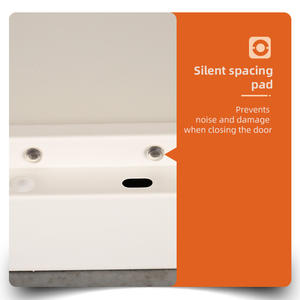 خزانة فولاذية حديثة بتصميم عصري ببابين زجاجيين مع رف قابل للتعديل، بيع مباشر من المصنع، أثاث مكتبي مع قفل مضاد للسرقة ومتين - Product Image 5