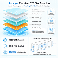Film PET brillant chaud et froid 60cm*100m, Film DTF PET 80cm, Film DTF 30cm 33cm 60cm, Papier DTF 36cm pour impression numérique