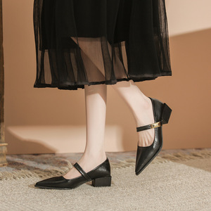 Chaussures Mary Jane à bout pointu, bride en T, talon bloc de hauteur moyenne, doublure en cuir, couleur unie, confortables, escarpins pour femmes - Product Image 3