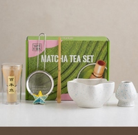 Kit de démarrage Matcha en céramique durable avec motifs étoile de mer et tarte aux fruits, ensemble d'outils Matcha