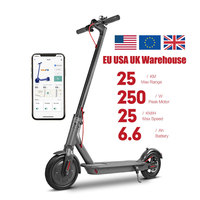 Scooter Eléctrico Plegable de 250W con Control por Aplicación de Largo Alcance, Directo de Fábrica, para Desplazamientos Urbanos, Proveedor OEM ODM