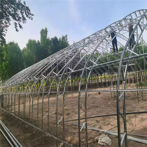 Özelleştirilmiş Modern çelik kafes sera marul dikim mantar yetiştirme yüksek kaliteli c-şekilli çelik büyük hidroponik - Product Image 4