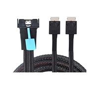 Câble Oculink Gen5 74 broches MCI0 8X 8I vers double SFF-8611 4I, câble de stockage de données de serveur haute vitesse, L=0,5M