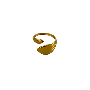 แหวนสแตนเลสสตีล ชุบทอง PVD ดีไซน์ทนทานและยั่งยืน - Product Image 2