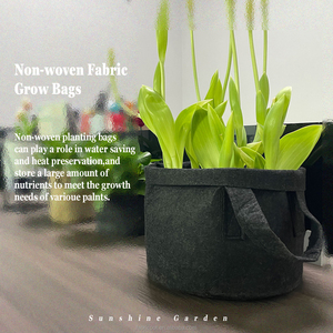 5 gallon tessuto non tessuto biodegradabile idroponica commercio all'<span class=keywords><strong>ingrosso</strong></span> crescere fragola fungo verdura feltro tessuto fioriera pianta crescere borse - Product Image 4