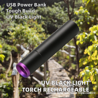 Mini lampe torche UV LED rechargeable 365 nm, corps en alliage d'aluminium, rechargeable par USB, indice de protection IP55, porte-clés, pour la peau des animaux, teigne