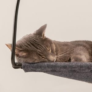 Lits pour chats à fenêtre, hamac de Tuft & Paw, conçu pour la résistance avec 3 ventouses, support de poids de 30 lb pour chats d'intérieur, <span class=keywords><strong>perchoir</strong></span> - Product Image 2