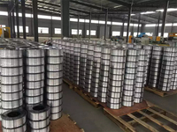 Tiges en fil d'acier inoxydable 304, plates, élastiques, pour tentes, formes spéciales (triangle, carré), conformes à la norme ASTM, surface BA, Baosteel 1m 201