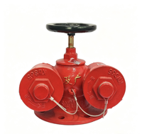 Adaptor Pompa Kebakaran Multiguna di Atas Tanah Wanlian SQD100-1.6, DN100, Besi Ulet Berlapis Bubuk
