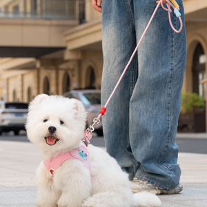Correa de tracción para perros, chaleco con correa para el pecho, antideslizante, para perros pequeños, Teddy, Bobbi Bear, correa de tracción reflectante para pasear perros - Product Image 3