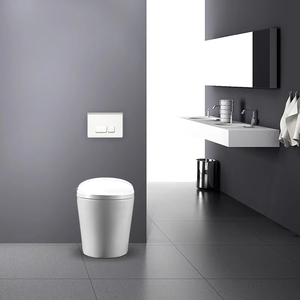 <span class=keywords><strong>Cisterna</strong></span> oculta moderna de 3/6 <span class=keywords><strong>litros</strong></span> del vendedor en línea Inodoro de doble descarga con accesorio de baño Wc - Product Image 4