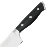 EVERWEALTH Ensemble de couteaux de cuisine de haute qualité en acier inoxydable 3cr13, finition laser, 6 pièces, support de présentation forgé 430+ABS