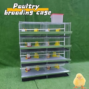 Système de cages à cailles galvanisées à plusieurs niveaux, cage d'élevage automatique pour pigeons, cages de couvaison pour volailles - Product Image 2