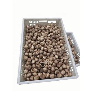 Vente chaude collations à l'<span class=keywords><strong>ail</strong></span> <span class=keywords><strong>noir</strong></span> suppléments de santé spéciaux aliments de santé à faible teneur en sucre pour un usage domestique Shandong <span class=keywords><strong>ail</strong></span> <span class=keywords><strong>noir</strong></span> biologique - Product Image 5