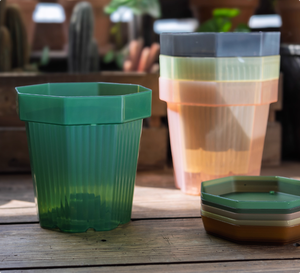 Gran oferta, <span class=keywords><strong>maceta</strong></span> suculenta Octagonal <span class=keywords><strong>de</strong></span> 6 pulgadas, lavabo <span class=keywords><strong>de</strong></span> luz antiniebla <span class=keywords><strong>DE</strong></span> ESTILO duradero, macetas <span class=keywords><strong>de</strong></span> <span class=keywords><strong>plástico</strong></span> transparente coloridas con bandeja <span class=keywords><strong>de</strong></span> columnas <span class=keywords><strong>de</strong></span> aire - Product Image 5