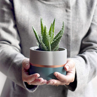 Prêts à être expédiés, pots à fleurs en ciment nordiques pour l'intérieur, décoration moderne de luxe pour la maison de haute qualité avec support en bois