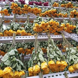 <span class=keywords><strong>Bouquet</strong></span> de Roses séchées naturelles, 100 pièces, bon marché, vraies fleurs séchées, avec tige - Product Image 5