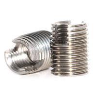Zinc Plated Carbon Steel Stainless Steel Locking Ensat Bushing Self Tapping Metric Thread Insert M2.5 Slotted Thread Repair
