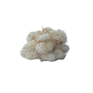 Juego de Bolas de Pelusa de Plantas Naturales Personalizadas Profesionales, Decoración de Pared para Festivales, Juego de Bolas de Pelusa Colgantes - Product Image 5