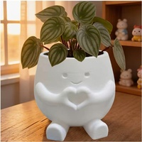 Pot Tanaman Mini Lucu untuk Meja, Pot Sukulen Putih Cetak 3D, Kotak Penyimpanan Desktop untuk Dekorasi Meja Kantor Rumah, Hadiah
