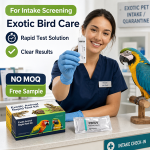 Kit de Prueba Rápida PBFDV para Aves de Compañía Exóticas, Virus de la Enfermedad del Pico y la Pluma de <span class=keywords><strong>las</strong></span> Aves Psittacinas, Sin Pedido Mínimo, Muestra Gratuita - Product Image 2