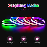 Collier LED rechargeable par USB pour chien, étanche, visibilité 500 m, 12 h de luminescence, sécurité, nylon, pour chiens de petite/moyenne/grande taille