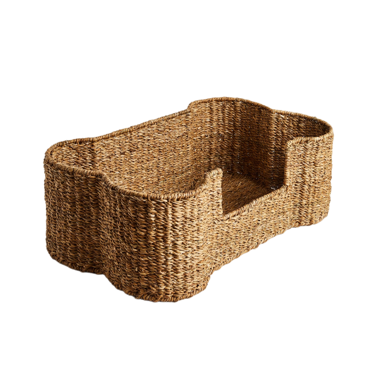 ธรรมชาติ