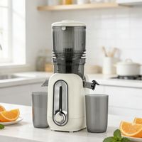 Extracteur de Jus Électrique à Pression à Froid de Qualité Supérieure pour Pommes, Carottes et Oranges – Meilleure Machine à Jus Lente pour Fruits