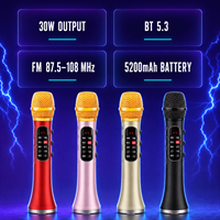 Microphone karaoké sans fil OEM, micro USB, microfono inalambrico profesional, système de haut-parleurs avec moniteur/écran