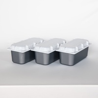 Boîte à crème glacée haut de gamme en PP pour l'emballage de desserts gourmands et de gelato – Fabrication pour marques