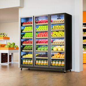 Refrigerador de Alto Rendimiento con Puerta de Vidrio, Refrigerador con Inversor, Enfriador de 2 <span class=keywords><strong>Puertas</strong></span>, <span class=keywords><strong>Vitrina</strong></span> Congeladora <span class=keywords><strong>para</strong></span> Cocinas Comerciales - Product Image 5