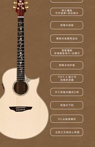 Trumon Summer1988TF 41 pouces guitare nouvelle génération <span class=keywords><strong>solstice</strong></span> d'été 1988 tout conseil unique jouant guitare Folk de qualité professionnelle - Product Image 2