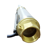 Pompe pour puits profond 1 pouce 80m tête haute 750w Contrôle externe Pompe submersible pour puits profonds solaire en acier inoxydable
