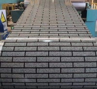 Fabrication en usine de produits en acier prélaqué et prépeint PPGI en bobine, acier galvanisé
