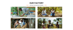Huile SAKAY FOB Madagascar en petite quantité (15 kg) pour parfumeurs artisans et développeurs de soins haut de gamme, durée de conservation de 3 ans - Product Image 6