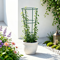 Support de plante conique minimaliste en acier 75CM, résistant aux UV, revêtement par immersion, antirouille, robuste, pour balcon, patio, jardin, fleuriste, vente en gros, OEM
