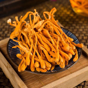 Holesale porporporead ordordyceps UnEst est ordordyceps ordilitaris rrganic Ried ordycepin. - Product Image 6