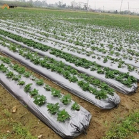 Film de paillage en PE noir argenté haute résistance, couverture de sol agricole en plastique robuste