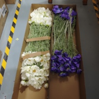 Bunga Cosmos Putih Sutra Buatan 78CM Dekorasi Pernikahan Buket Hadiah Perlengkapan Dinding Bunga