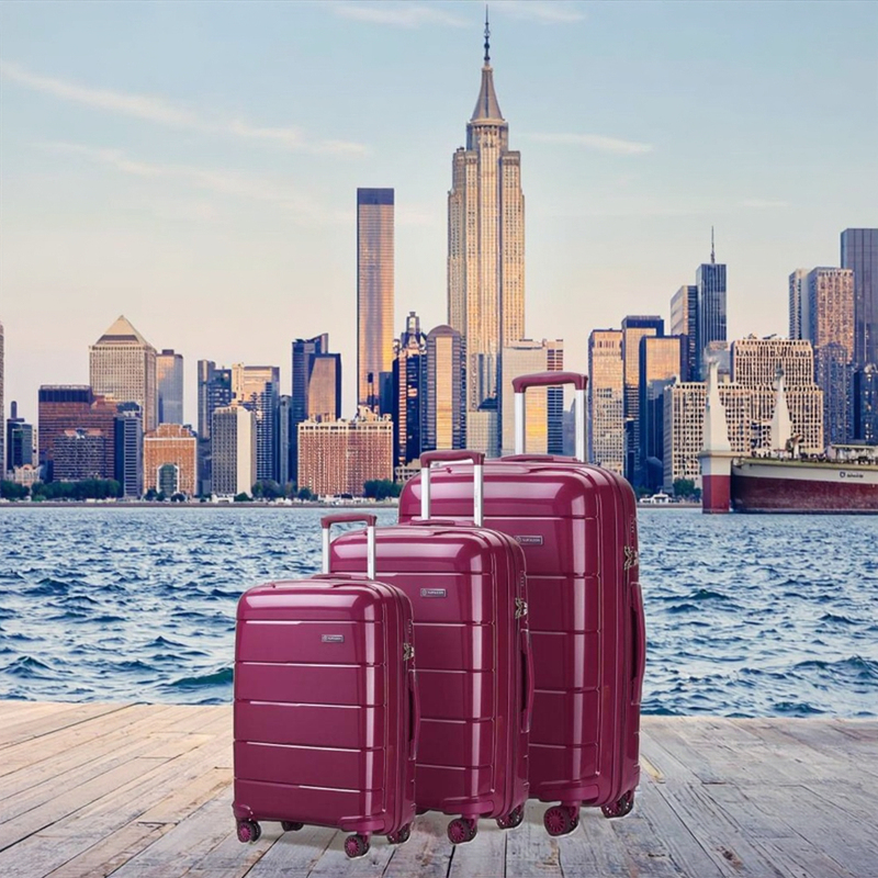 Limited Time Luxury Tsa Lock Suitcase