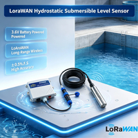 Capteur de niveau hydrostatique submersible LoRaWAN alimenté par batterie pour la surveillance des réservoirs d'eau, des puits et des bassins